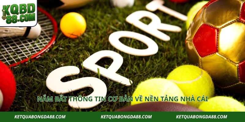 Nắm bắt thông tin cơ bản về nền tảng nhà cái