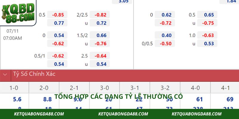 Tổng hợp các dạng tỷ lệ thường có 